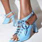 Women's Fashion Web celebrity style Adjusting Buckle Heels - Greatonushoes